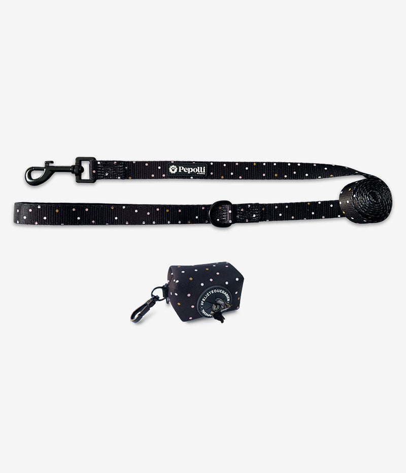 Correa y Poop GALAXY