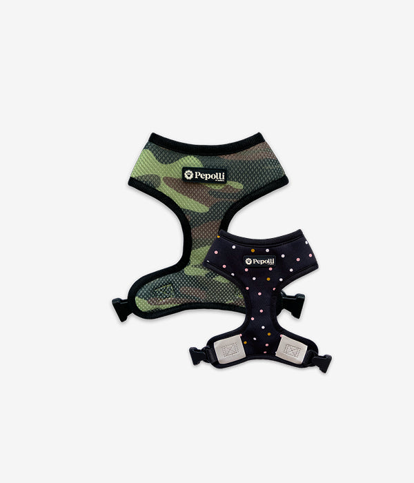 Arnés 2-EN-1 & Correa GALAXY