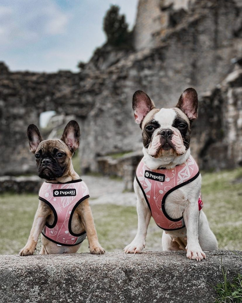 Perro en Pepolli Arnés para perros con diseño boho