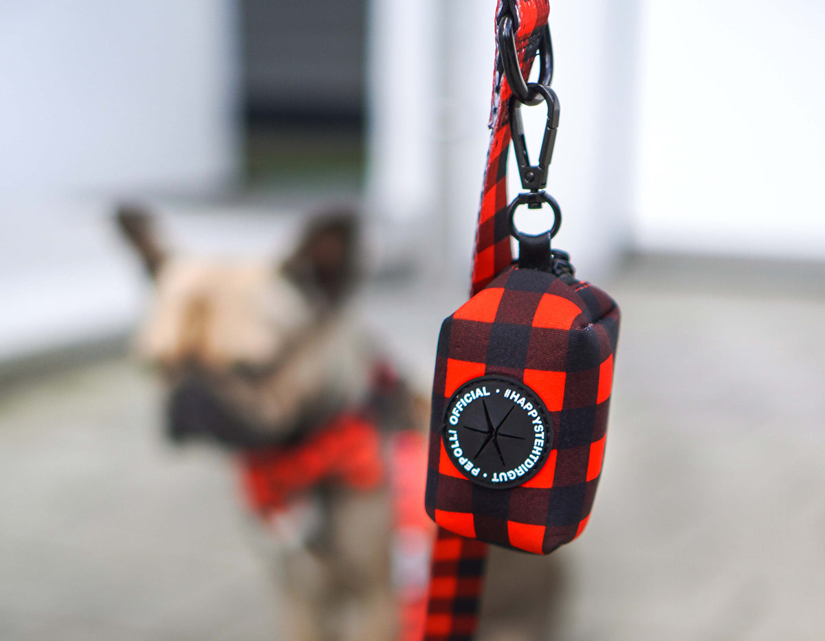 Perro en Pepolli Arnés para perros con diseño Scottish-Look