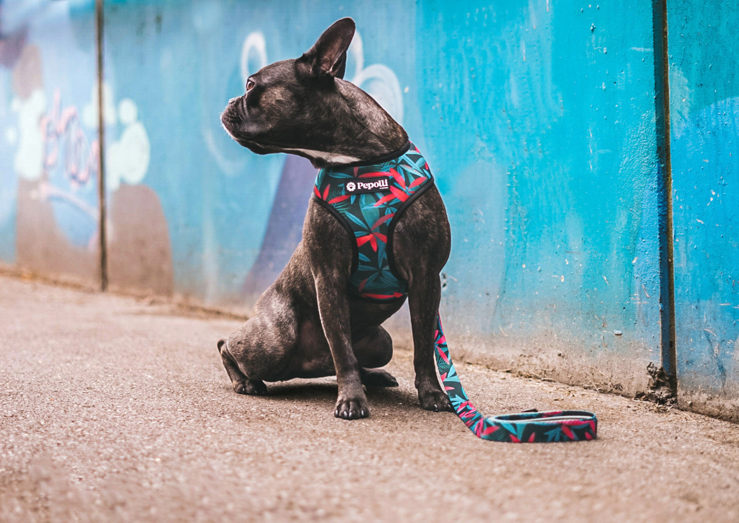 Perro en Pepolli Arnés para perros con diseño de flores